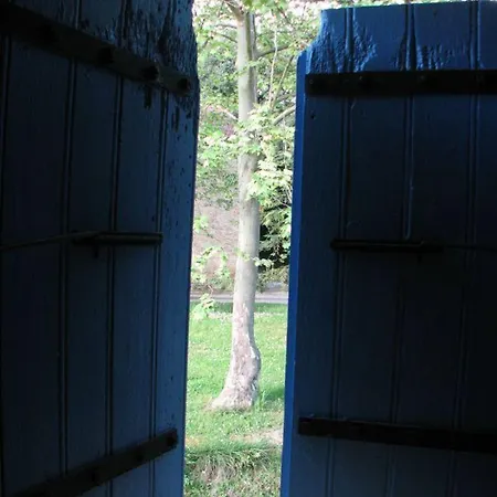 Domaine Saint-joly